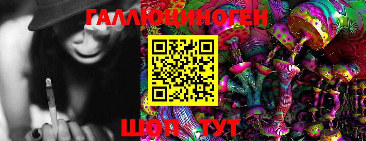 Карпинск  Псилоцибиновые грибы MAGIC MUSHROOMS  Псилоцибиновые грибы GOLDEN TEACHER  цены наркотик  Вход с VPN 