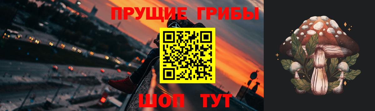 Галлюциногенные грибы Psilocybe Карпинск